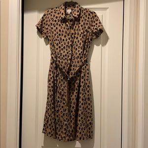 Perfect for fall! Leopard Dress!